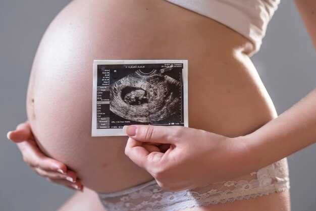 Органы беременной женщины
