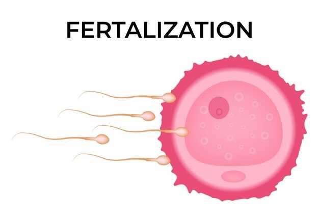 Почему растёт плодное яйцо, а эмбрион нет