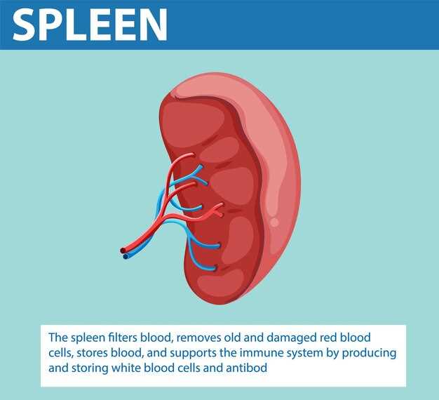 Значение стадирования